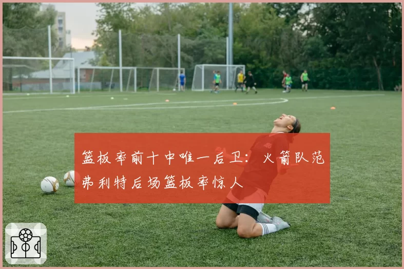篮板率前十中唯一后卫:火箭队范弗利特后场篮板率惊人
